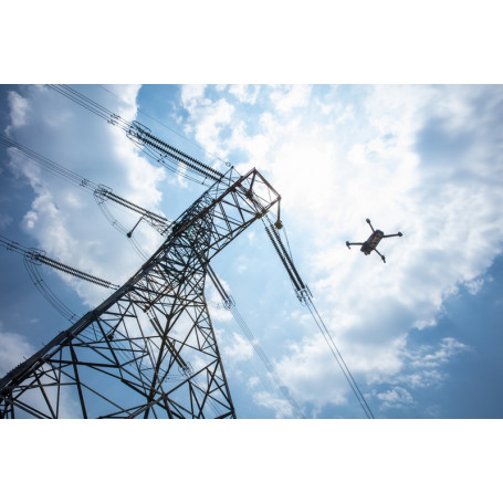 mavic dual enterprise