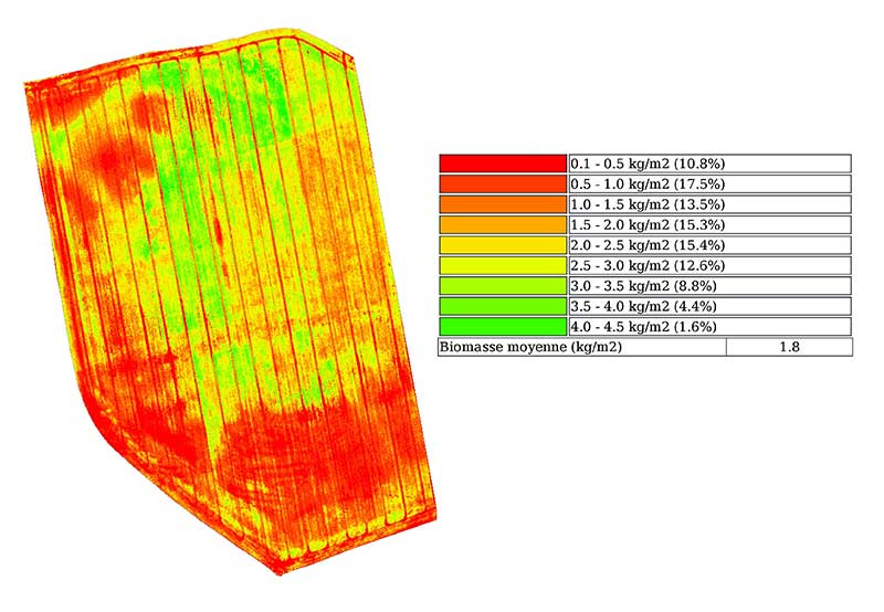 Carte de biomasse drone