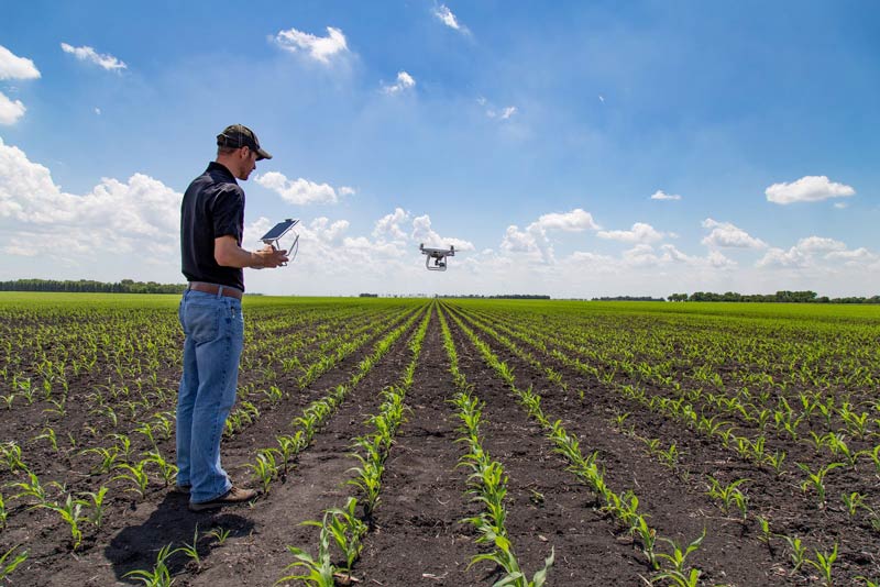 Drone agriculture