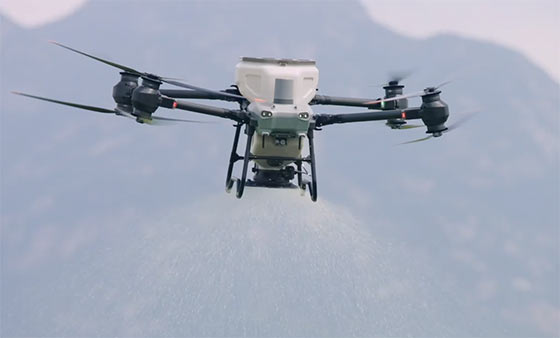 DJI-T50-drone agricole