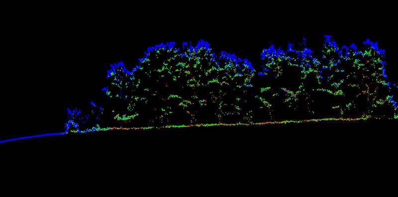 Nuage de points Zenmuse L1 dans les arbres