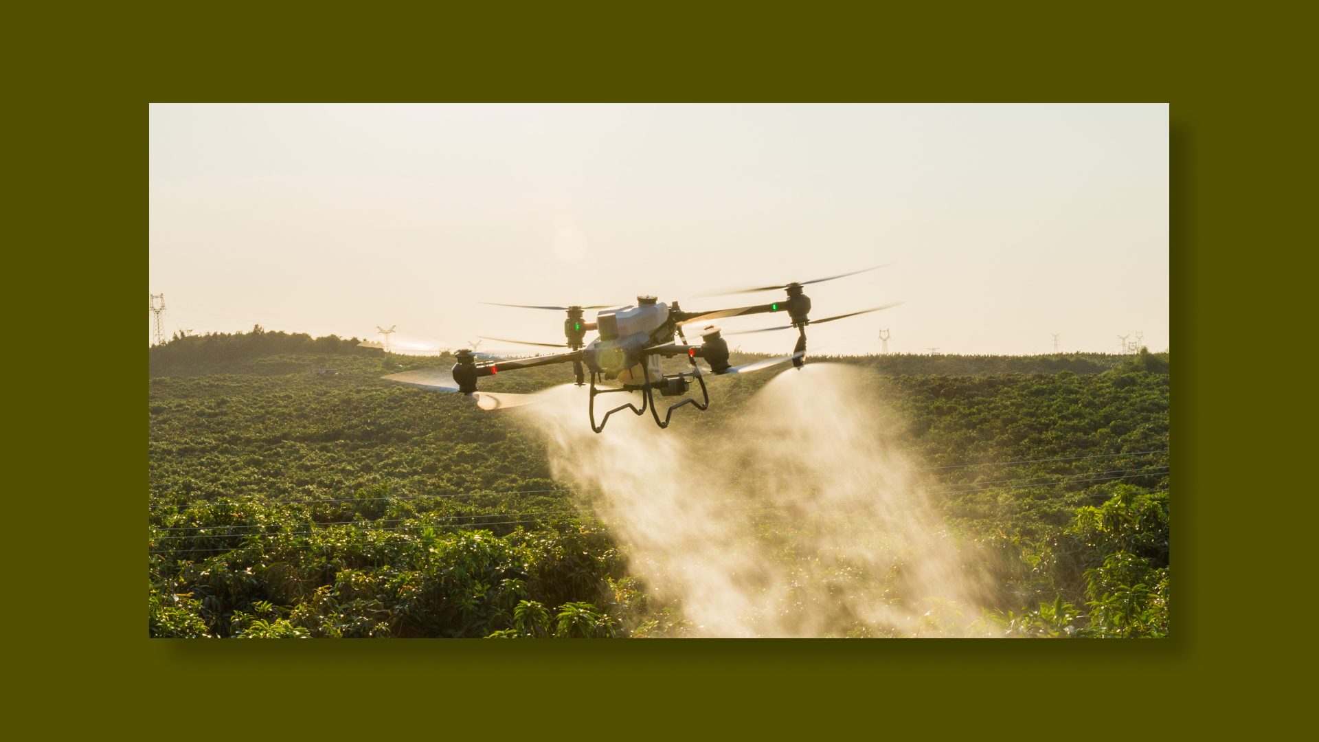DJI AGRAS T50 en action 