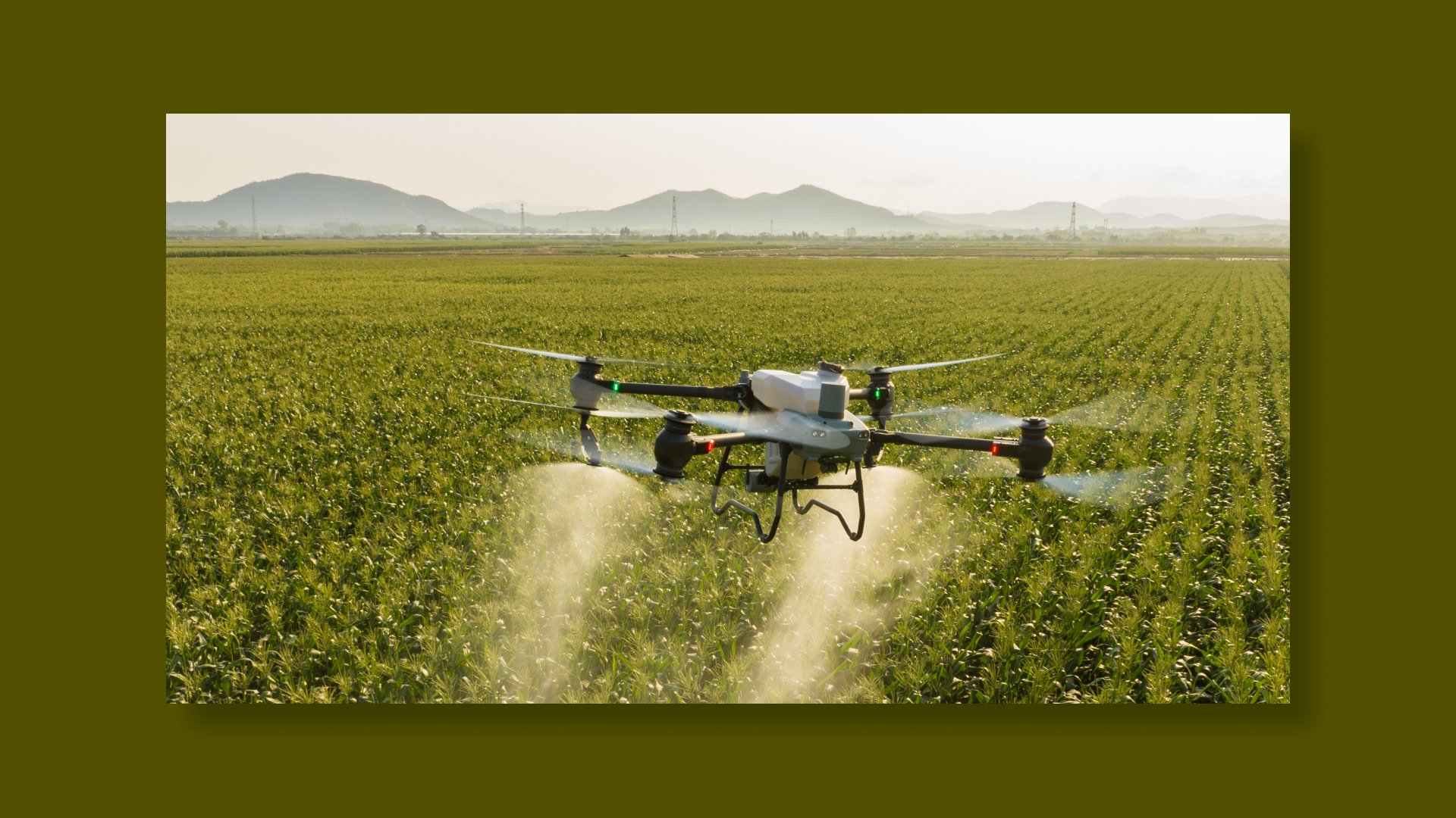 DJI AGRAS T50 en action