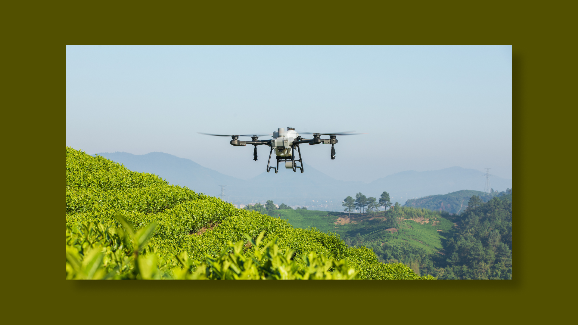 DJI AGRAS T25 en action