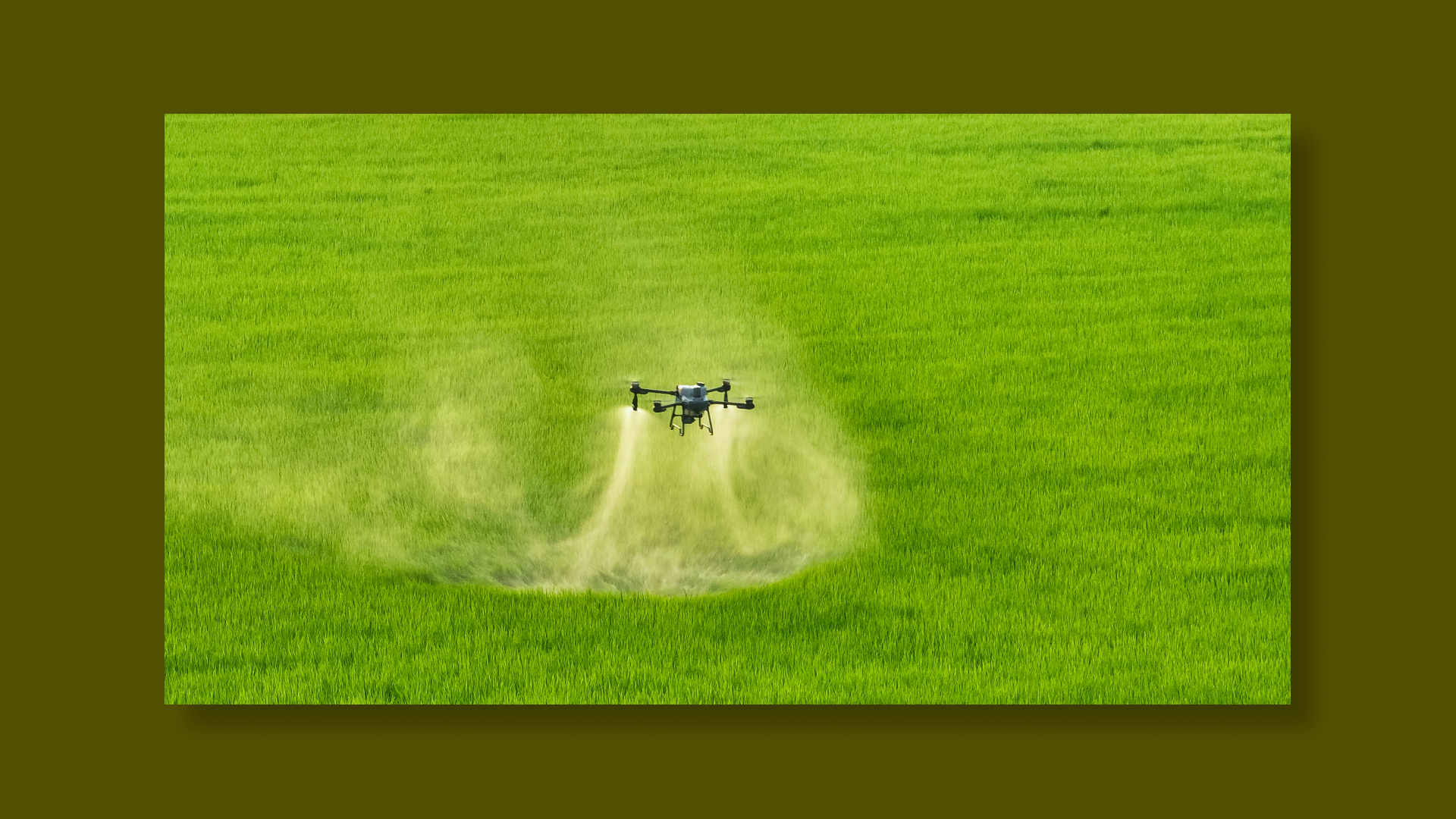 DJI AGRAS T25 en action