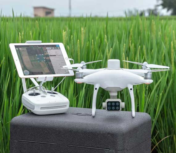 Drone DJI Phantom 4 Multispectral