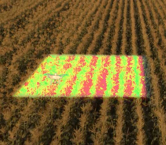 Prise de vue multispectrale : Analyser les champs via les drones