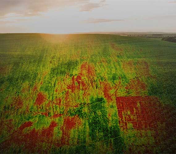 Drones, NDVI & Prise de vue multispectrale