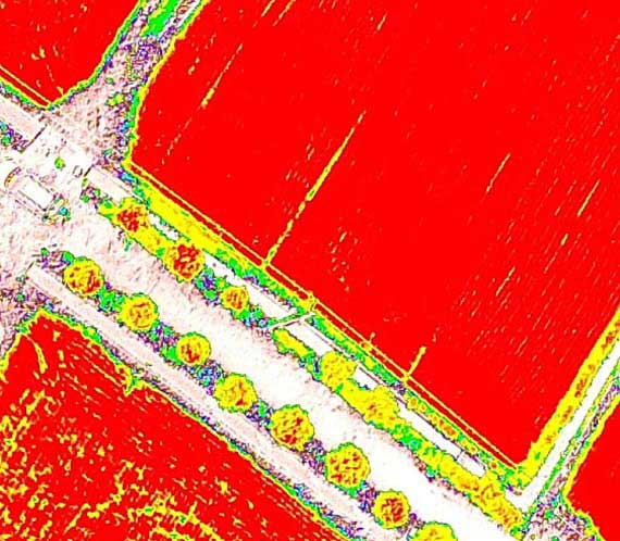 Diagnostic l'état des terres & des cultures par drone