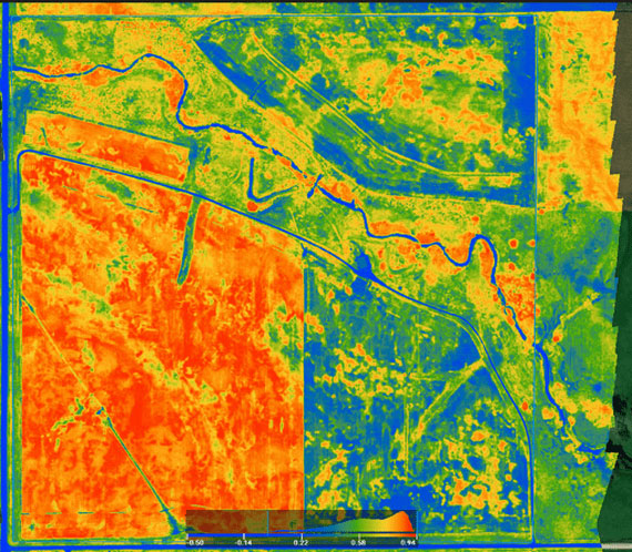 Étude des forêts via la lasergrammétrie par drone