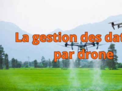 La gestion des daturas par drone